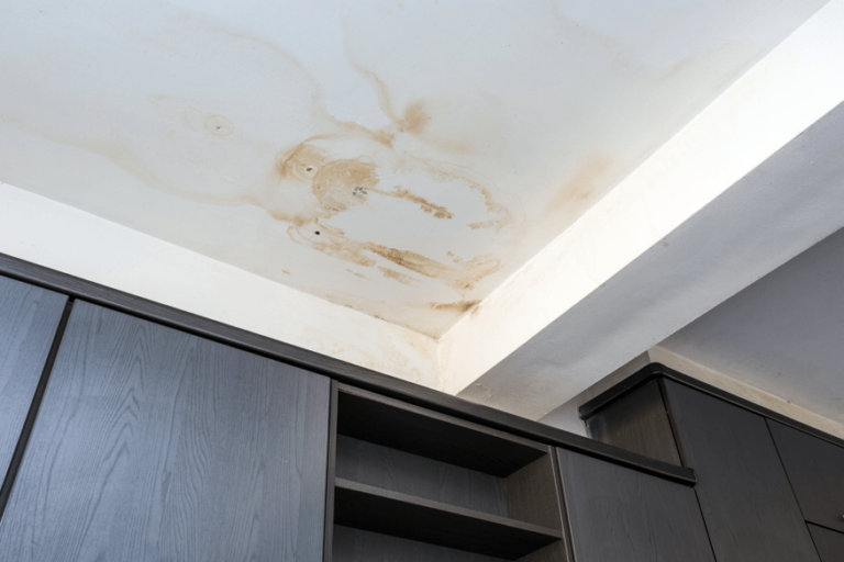 Signs that Your Property Has Water Damage